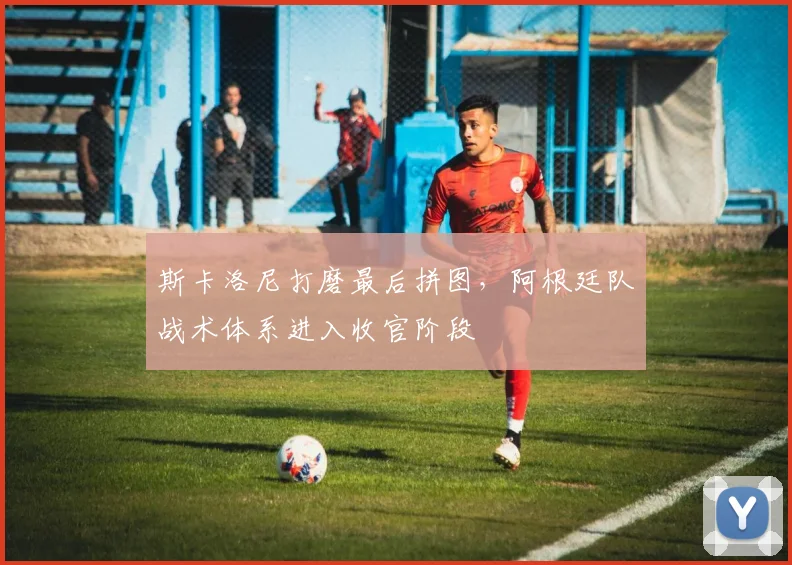 斯卡洛尼打磨最后拼图，阿根廷队战术体系进入收官阶段