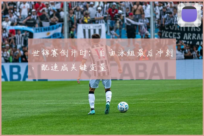 世锦赛倒计时：自由泳组最后冲刺，配速成关键变量