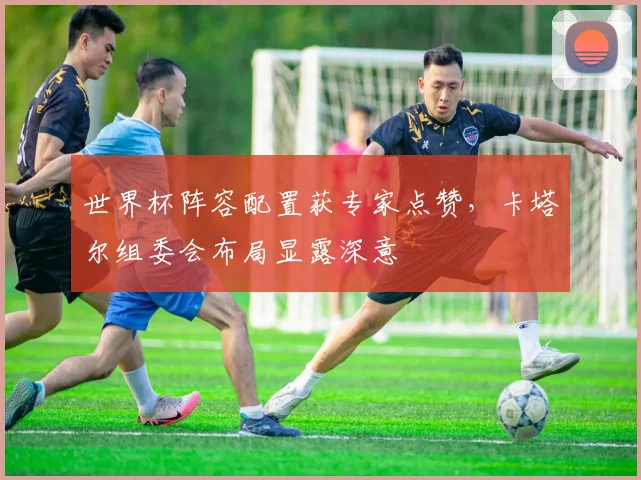 世界杯阵容配置获专家点赞，卡塔尔组委会布局显露深意